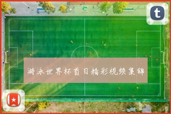 游泳世界杯首日精彩视频集锦